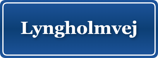 Parkering p&aring; Lyngholmvej, K&oslash;benhavn