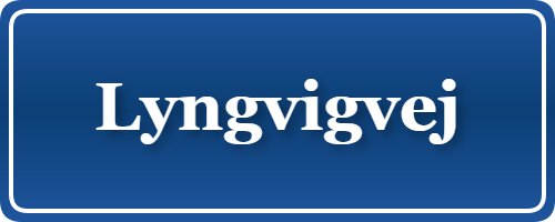 Parkering p&aring; Lyngvigvej, K&oslash;benhavn