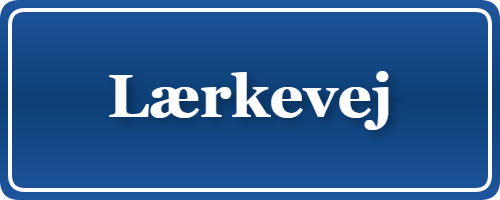 Parkering p&aring; Lærkevej, K&oslash;benhavn