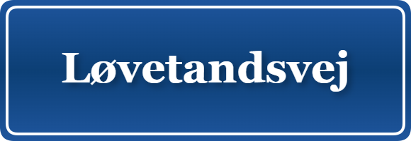 Parkering p&aring; Løvetandsvej, K&oslash;benhavn