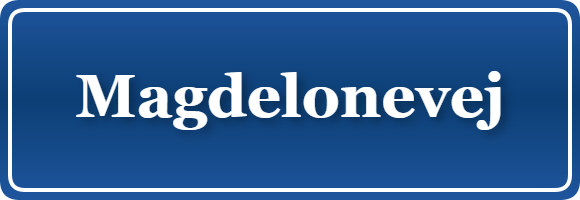 Parkering p&aring; Magdelonevej, K&oslash;benhavn