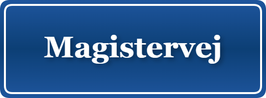 Parkering p&aring; Magistervej, K&oslash;benhavn