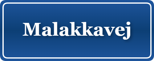 Parkering p&aring; Malakkavej, K&oslash;benhavn