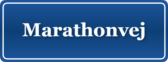 Parkering p&aring; Marathonvej, K&oslash;benhavn