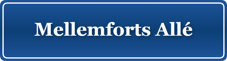 Parkering p&aring; Mellemforts Allé, K&oslash;benhavn