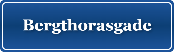 Parkering p&aring; Bergthorasgade, K&oslash;benhavn