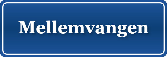 Parkering p&aring; Mellemvangen, K&oslash;benhavn