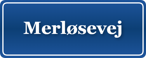 Parkering p&aring; Merløsevej, K&oslash;benhavn