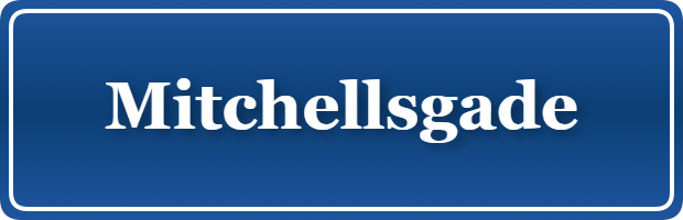 Parkering p&aring; Mitchellsgade, K&oslash;benhavn