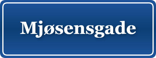 Parkering p&aring; Mjøsensgade, K&oslash;benhavn