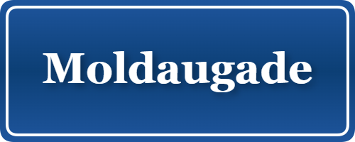 Parkering p&aring; Moldaugade, K&oslash;benhavn