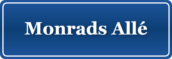 Parkering p&aring; Monrads Allé, K&oslash;benhavn