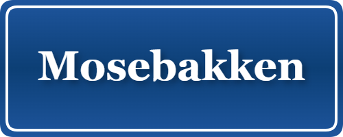 Parkering p&aring; Mosebakken, K&oslash;benhavn