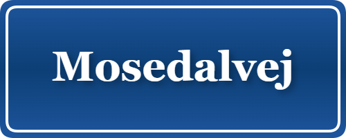 Parkering p&aring; Mosedalvej, K&oslash;benhavn