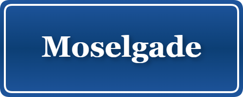 Parkering p&aring; Moselgade, K&oslash;benhavn