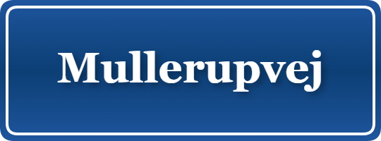 Parkering p&aring; Mullerupvej, K&oslash;benhavn