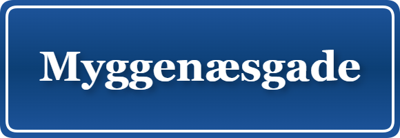 Parkering p&aring; Myggenæsgade, K&oslash;benhavn