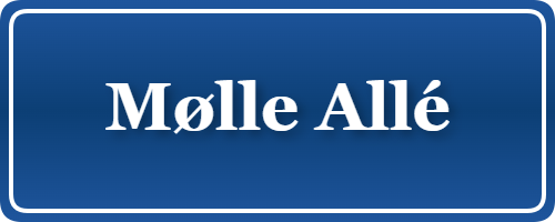 Parkering p&aring; Mølle Allé, K&oslash;benhavn