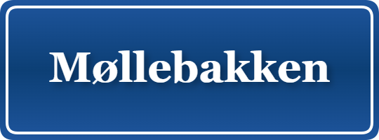 Parkering p&aring; Møllebakken, K&oslash;benhavn