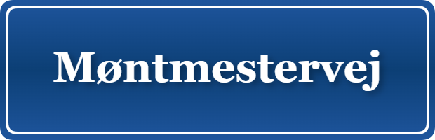 Parkering p&aring; Møntmestervej, K&oslash;benhavn