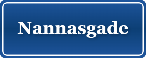 Parkering p&aring; Nannasgade, K&oslash;benhavn