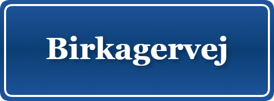 Parkering p&aring; Birkagervej, K&oslash;benhavn