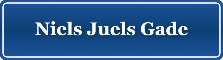 Parkering p&aring; Niels Juels Gade, K&oslash;benhavn