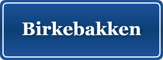 Parkering p&aring; Birkebakken, K&oslash;benhavn