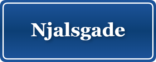 Parkering p&aring; Njalsgade, K&oslash;benhavn