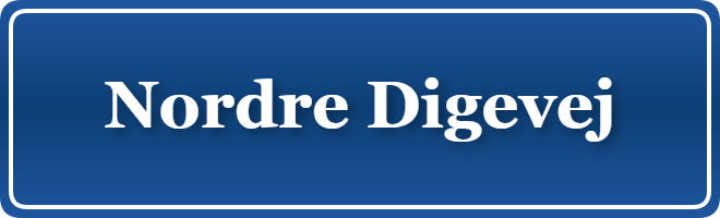 Parkering p&aring; Nordre Digevej, K&oslash;benhavn