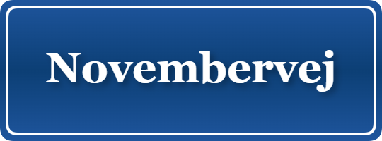 Parkering p&aring; Novembervej, K&oslash;benhavn