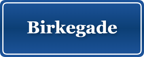 Parkering p&aring; Birkegade, K&oslash;benhavn