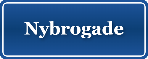 Parkering p&aring; Nybrogade, K&oslash;benhavn