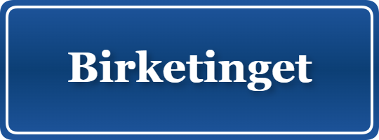 Parkering p&aring; Birketinget, K&oslash;benhavn