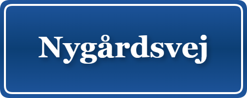 Parkering p&aring; Nygårdsvej, K&oslash;benhavn