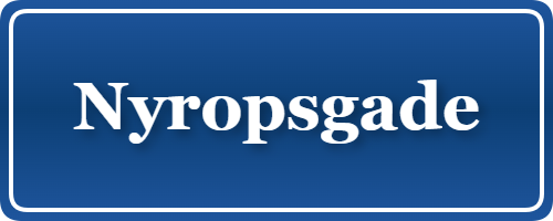 Parkering p&aring; Nyropsgade, K&oslash;benhavn