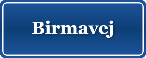 Parkering p&aring; Birmavej, K&oslash;benhavn