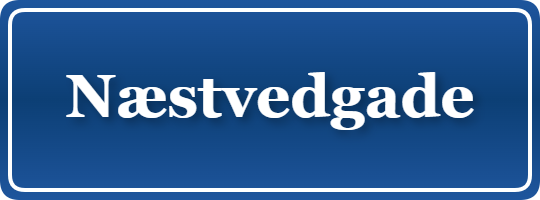 Parkering p&aring; Næstvedgade, K&oslash;benhavn