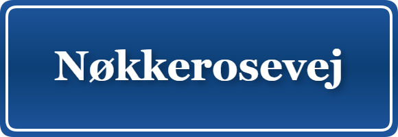 Parkering p&aring; Nøkkerosevej, K&oslash;benhavn