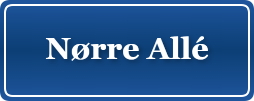 Parkering p&aring; Nørre Allé, K&oslash;benhavn