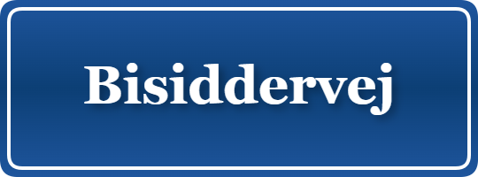 Parkering p&aring; Bisiddervej, K&oslash;benhavn