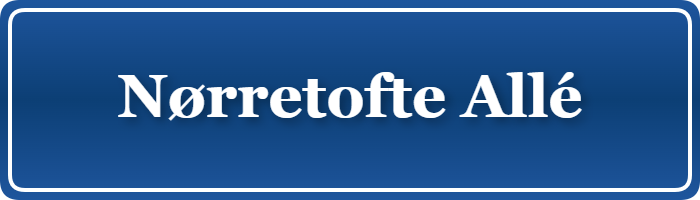 Parkering p&aring; Nørretofte Allé, K&oslash;benhavn