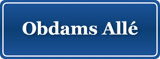 Parkering p&aring; Obdams Allé, K&oslash;benhavn