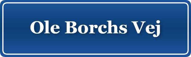 Parkering p&aring; Ole Borchs Vej, K&oslash;benhavn