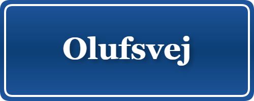 Parkering p&aring; Olufsvej, K&oslash;benhavn