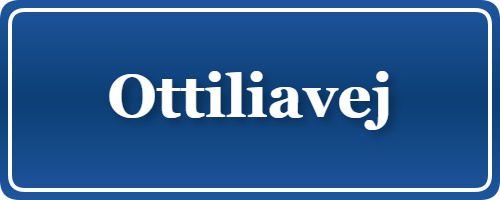 Parkering p&aring; Ottiliavej, K&oslash;benhavn