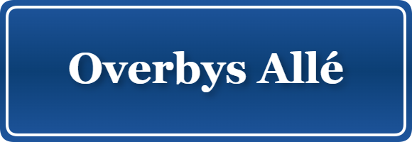 Parkering p&aring; Overbys Allé, K&oslash;benhavn