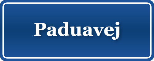 Parkering p&aring; Paduavej, K&oslash;benhavn