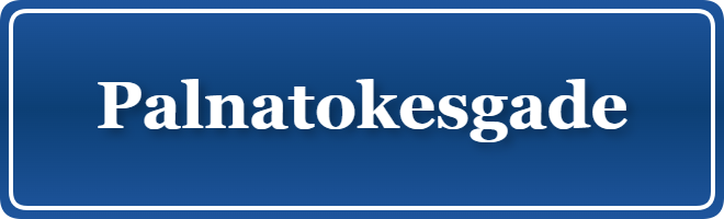 Parkering p&aring; Palnatokesgade, K&oslash;benhavn