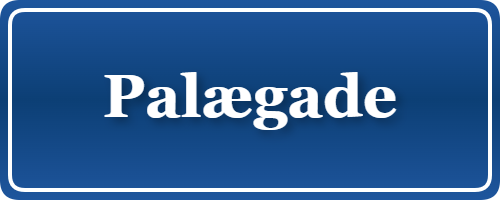 Parkering p&aring; Palægade, K&oslash;benhavn